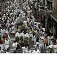 Bull Running in Pamplona