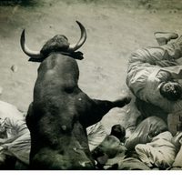 Bull Running in Pamplona