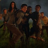 The Maze Runner