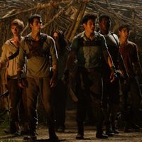 The Maze Runner