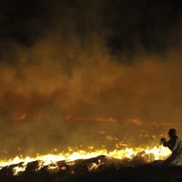 Foto de 'Ce que le jour doit à la nuit'