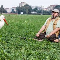 The Commander and the Stork