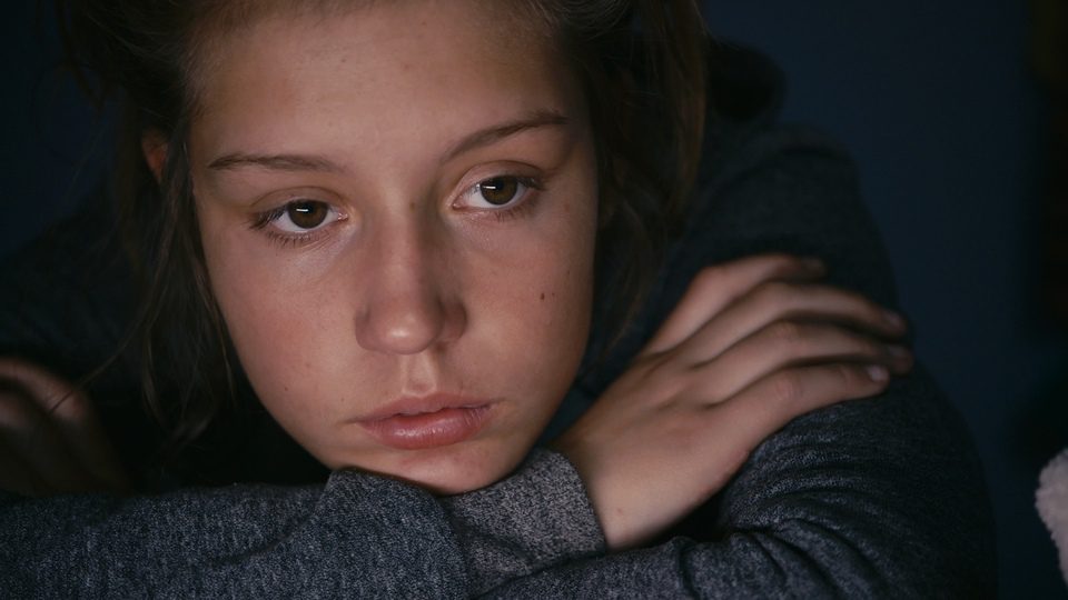 Imagen de la película Blue Is the Warmest Color