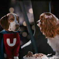 Foto de 'Underdog'