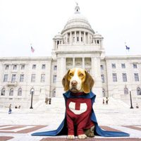 Foto de 'Underdog'