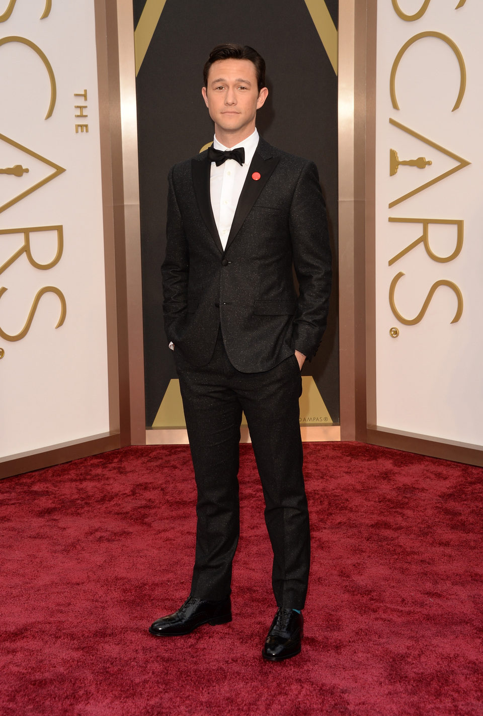 Joseph Gordon-Levitt at the 2014 Oscars