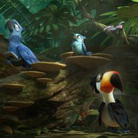 Foto de 'Rio 2'