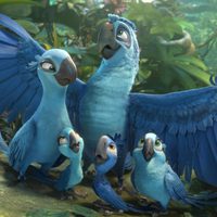 Foto de 'Rio 2'