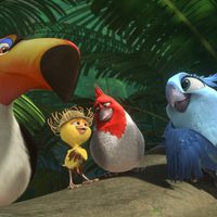 Foto de 'Rio 2'