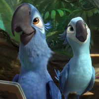 Rio 2