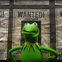 Foto de 'Muppets Most Wanted'