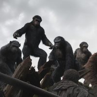 Foto de 'Dawn of the Planet of the Apes'