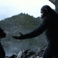 Dawn of the Planet of the Apes