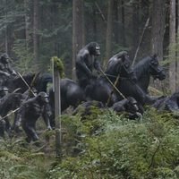 Dawn of the Planet of the Apes