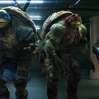 Foto de 'Teenage Mutant Ninja Turtles'