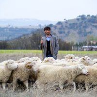 Foto de 'Las ovejas no pierden el tren'