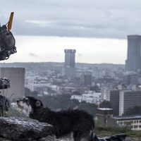 Chappie