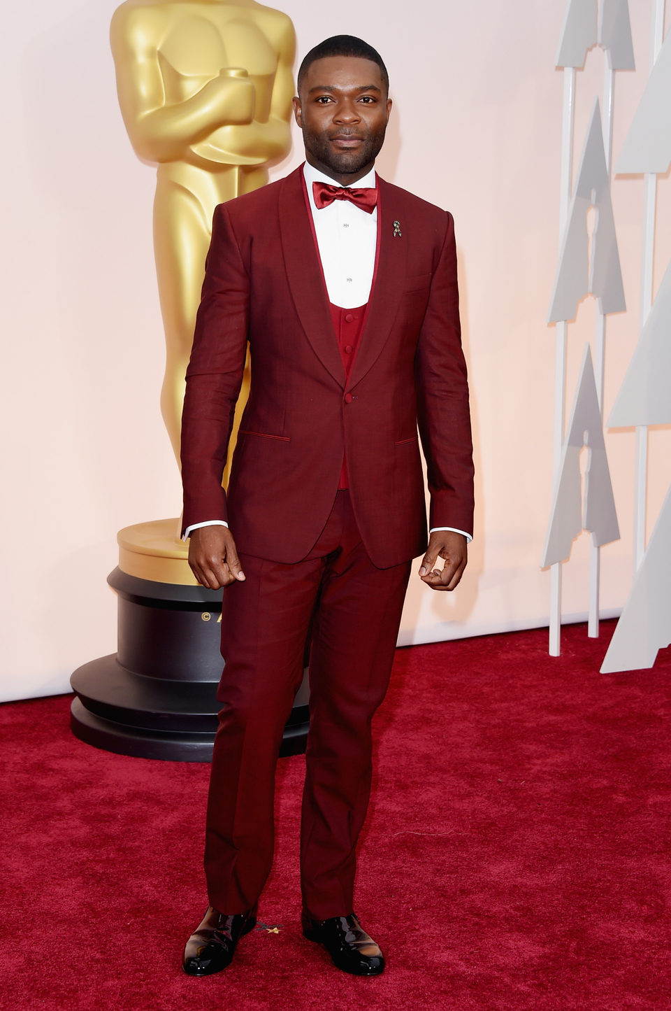 David Oyelowo at the Oscars Awards 2015 red carpet