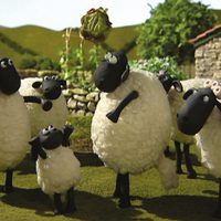 Shaun the Sheep