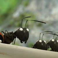 Minuscule: Valley of the Lost Ants