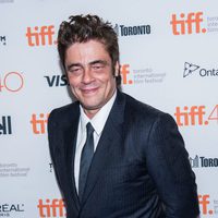 Benicio del Toro at the Toronto International Film Festival 2015