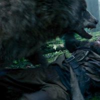 Foto de 'The Revenant'