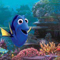 Finding Dory