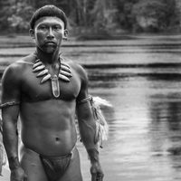 Embrace of the serpent