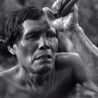 Embrace of the serpent