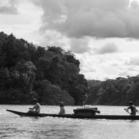 Embrace of the serpent