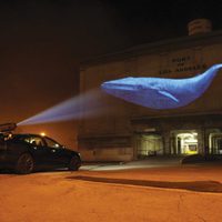 Racing Extinction