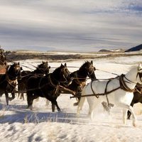 Foto de 'The Hateful Eight'