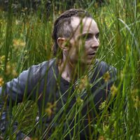 The Survivalist