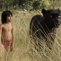 Foto de 'The Jungle Book'