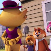 Top Cat Begins