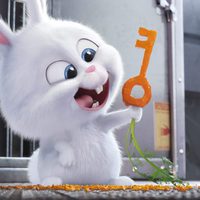 Foto de 'The Secret Life of Pets'