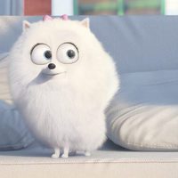 Foto de 'The Secret Life of Pets'