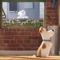 Foto de 'The Secret Life of Pets'