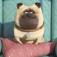 Foto de 'The Secret Life of Pets'