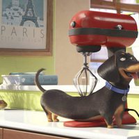 Foto de 'The Secret Life of Pets'