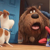 Foto de 'The Secret Life of Pets'