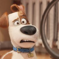 Foto de 'The Secret Life of Pets'