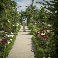 Painting the Modern Garden: Monet to Matisse