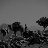 Socotra, the Island of Djinns