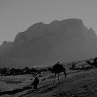 Socotra, the Island of Djinns