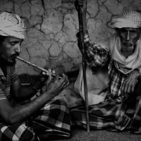 Socotra, the Island of Djinns