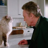 Foto de 'Nine Lives'