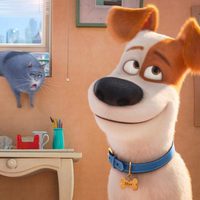 Foto de 'The Secret Life of Pets'