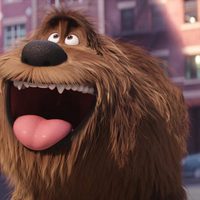 Foto de 'The Secret Life of Pets'