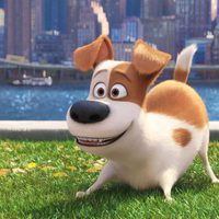 Foto de 'The Secret Life of Pets'